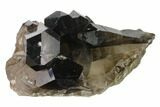 Dark Smoky Quartz Crystal Cluster - Brazil #137838-1